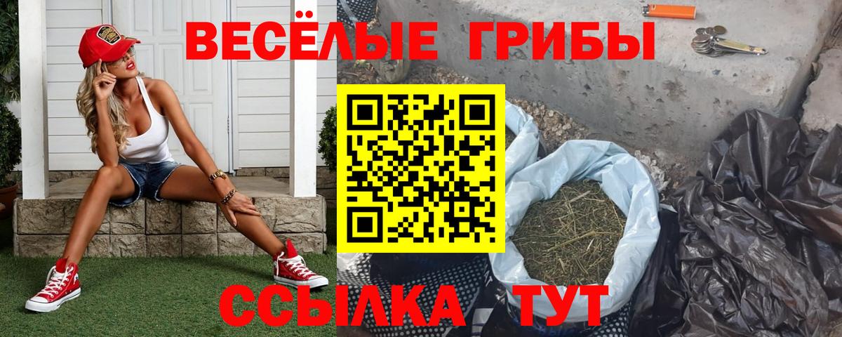 Галлюциногенные грибы GOLDEN TEACHER Скопин