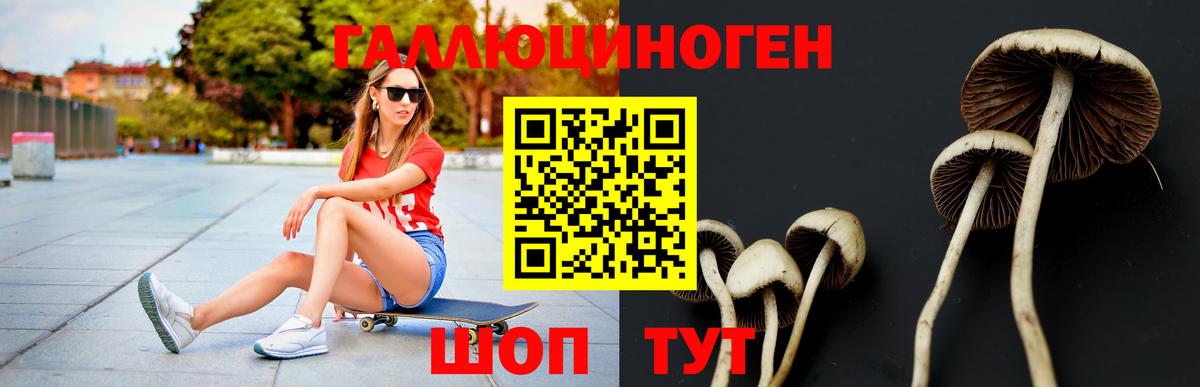 Галлюциногенные грибы Magic Shrooms  Псилоцибиновые грибы прущие грибы  Вход с VPN  Скопин 
